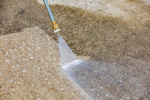 Best Soft Washing  in Mansfield, LA